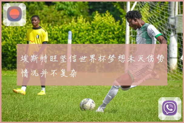 埃斯特旺坚信世界杯梦想未灭伤势情况并不复杂